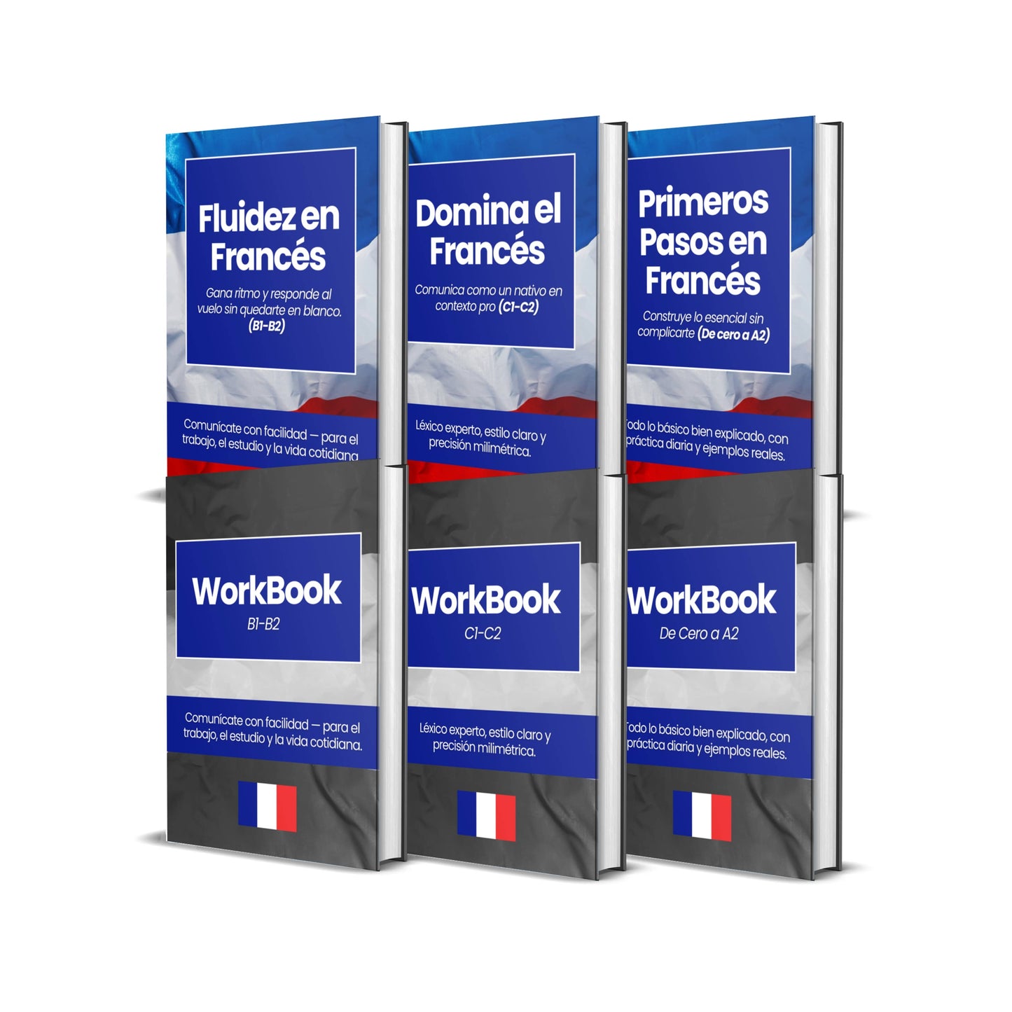 Curso Completo de Francés (A1-C2)