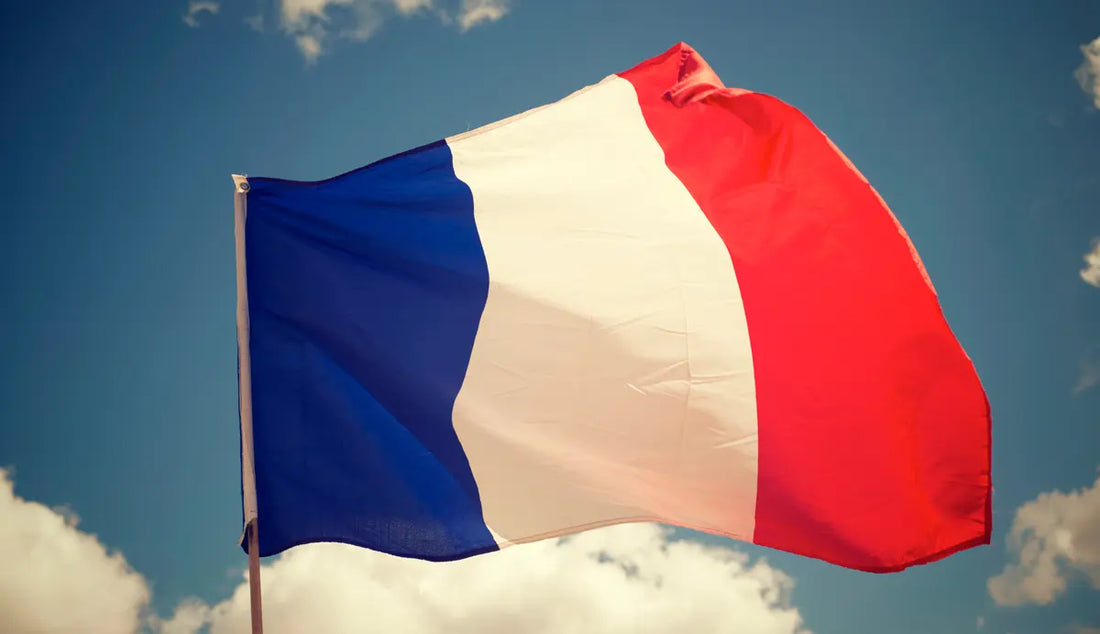 Cómo pronunciar las vocales nasales en francés correctamente